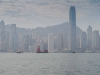 Harbor-pan6