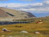 Khoton Nuur