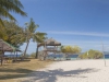 banana-island-pan2