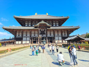 Буддистский храм Todaiji на территории парка - территория
