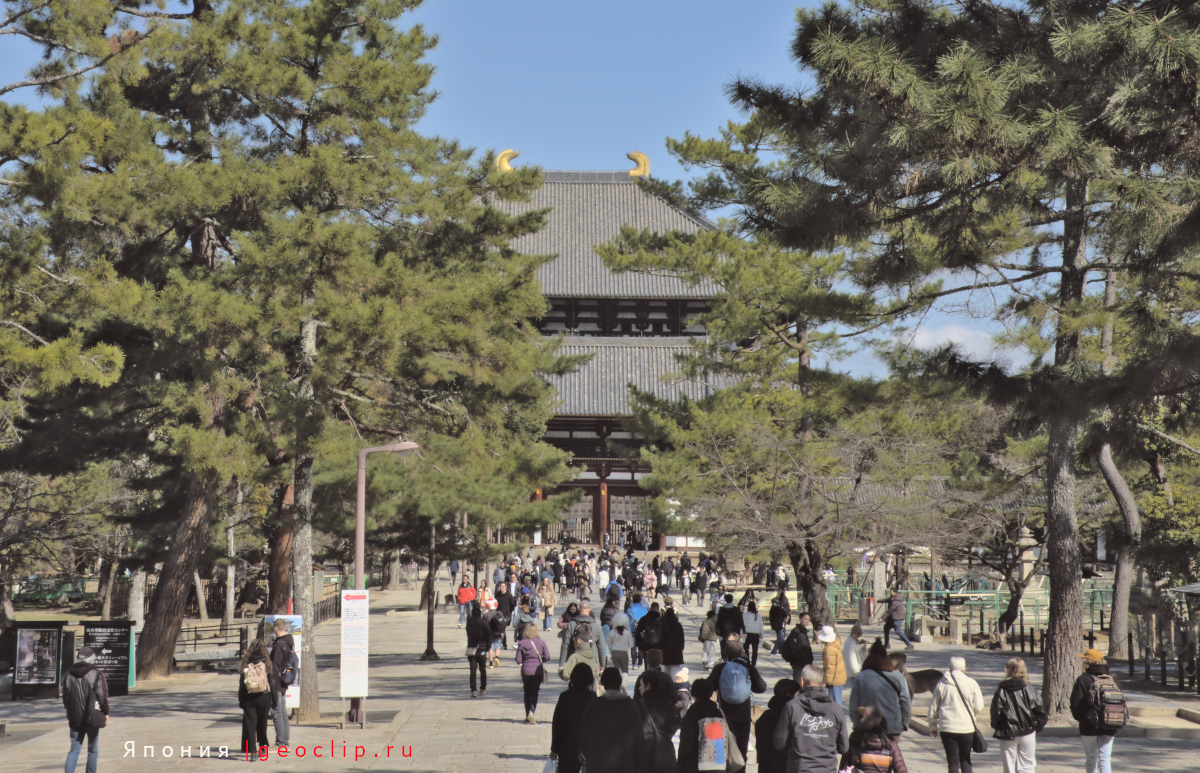 Буддистский храм Todaiji на территории парка - дорога