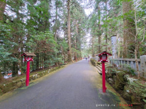 Дорога в лесу к Hakone Shrine