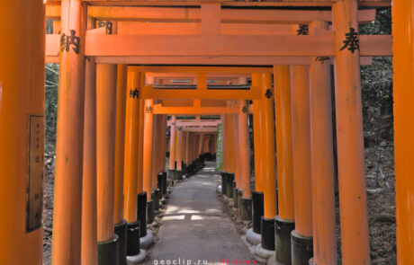 Ворота Тори в Fushimi inari