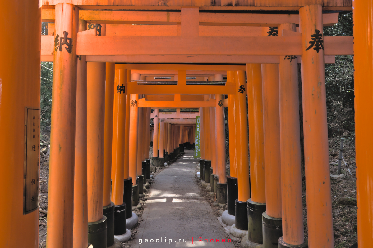 Ворота Тори в Fushimi inari