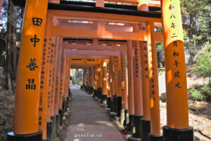 Ворота тори в Fushimi inari