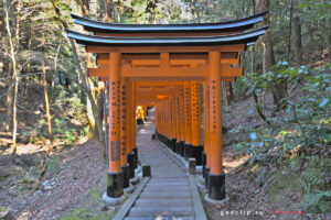 Ворота тори в Fushimi inari