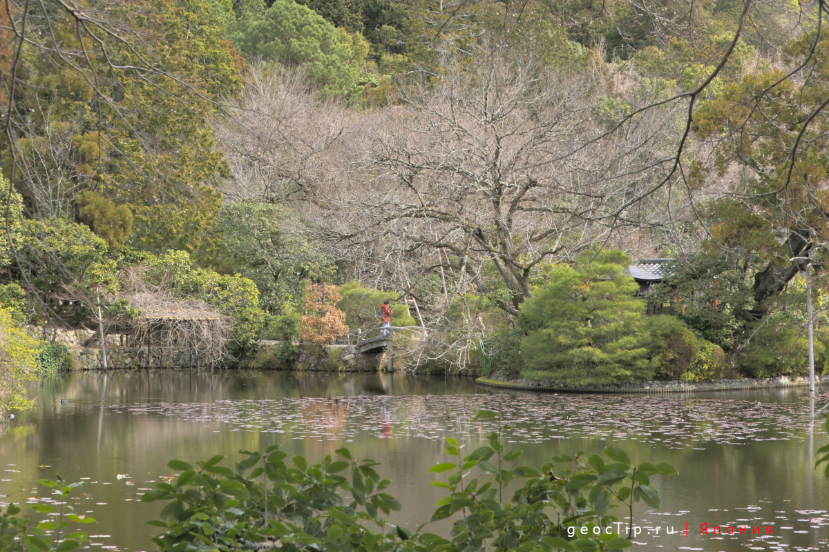 Пруд возле сада камней Ryoan-ji